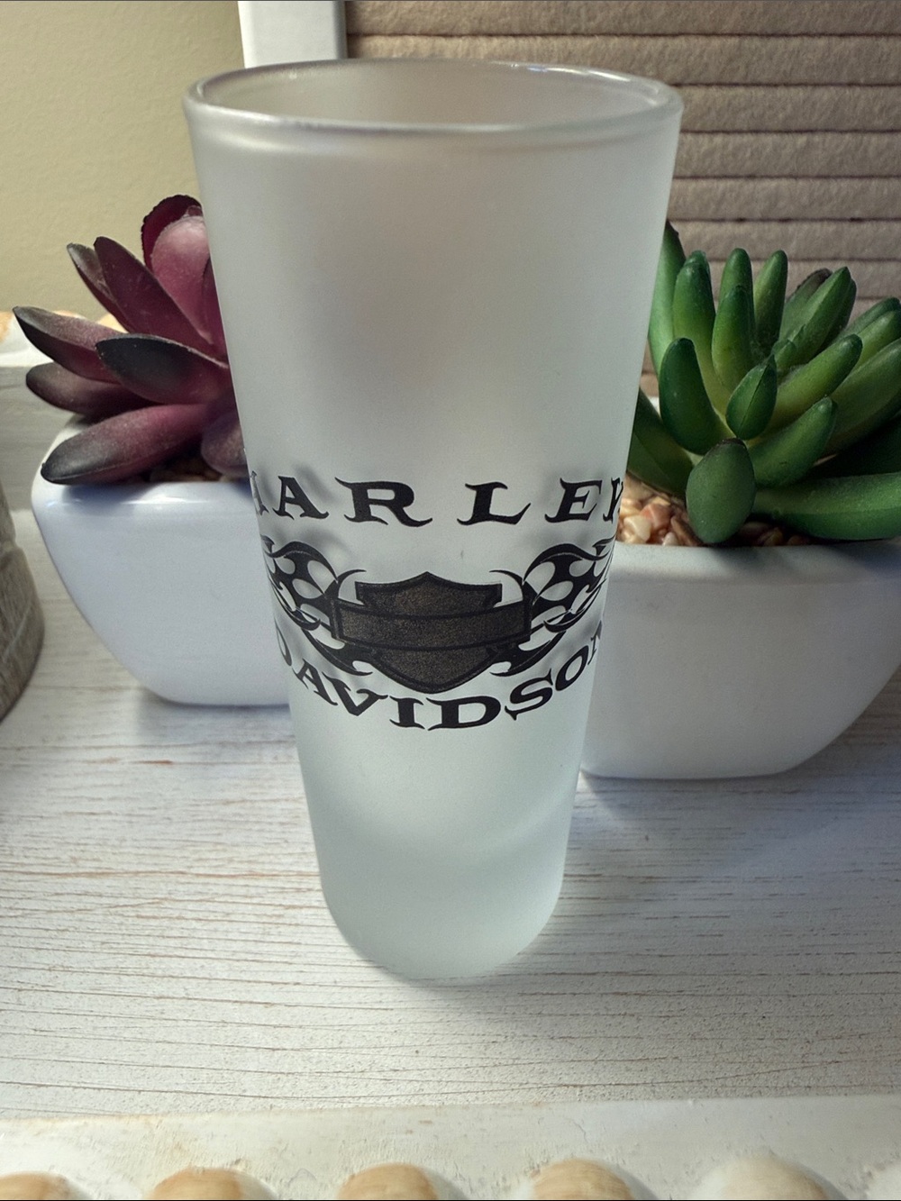 🖤 Harley-Davidson Shot Glass